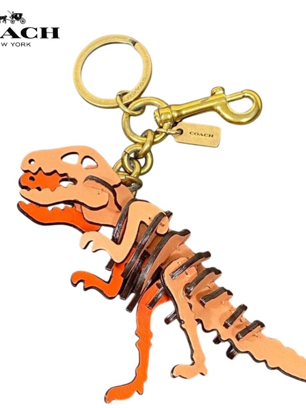 ISO Coach Orange Skeleton Rexy!